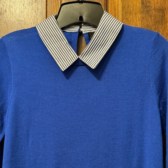 J. Crew Tippi Royal Blue Sweater with Striped Collar NWT - Picture 2 of 3